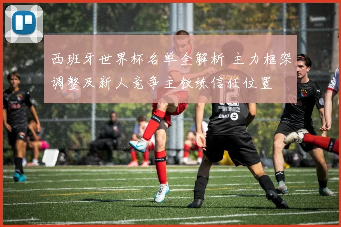 西班牙世界杯名单全解析 主力框架调整及新人竞争主教练信任位置