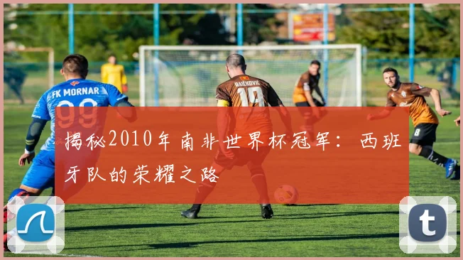 揭秘2010年南非世界杯冠军:西班牙队的荣耀之路