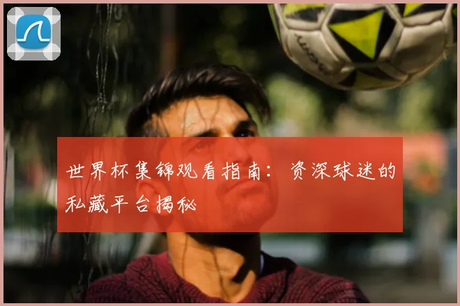 世界杯集锦观看指南:资深球迷的私藏平台揭秘