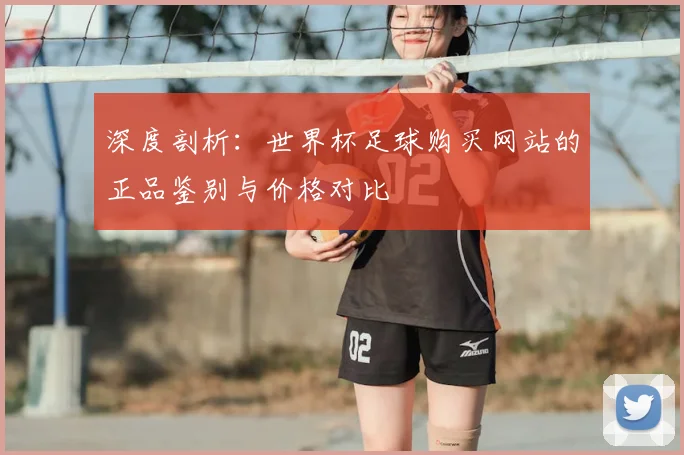 深度剖析:世界杯足球购买网站的正品鉴别与价格对比