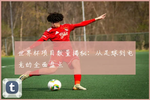 世界杯项目数量揭秘:从足球到电竞的全面盘点